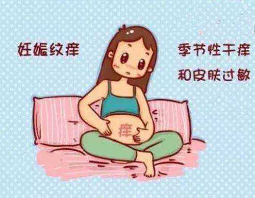 广东代怀中介机构，广东试管助孕机构