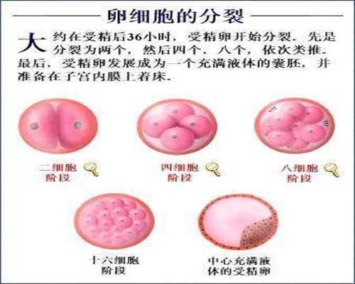 上海代孕产子价格,妊娠期孕妇失眠怎么办-