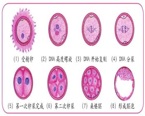 上海代孕服务协议,子宫内膜薄的日常保健怎么做