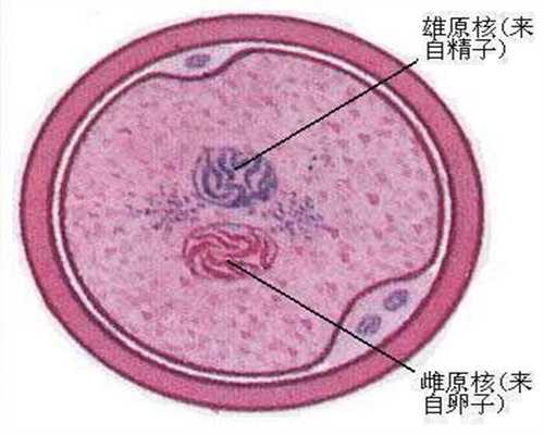 上海代孕安全吗,怎样预防输卵管不通呢