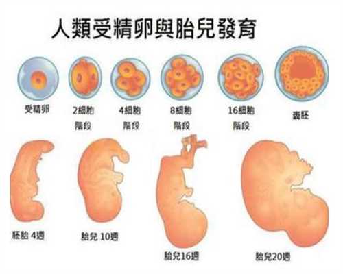 上海代生宝宝价格,90％的女性都有的妇科病，会