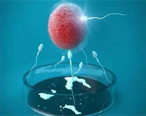上海代怀孕套餐,输卵管堵塞会影响卵巢排卵吗
