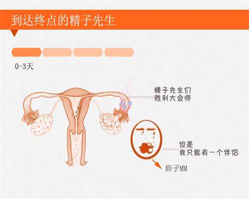 上海借腹生子,习惯性流产的孕妈妈要小心保胎这