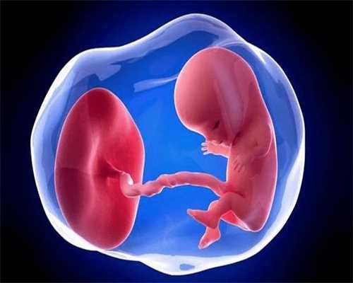 上海代孕成功率是多少,盆腔积液影响怀孕吗怀孕