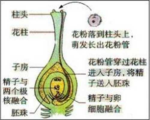 上海捐卵代孕,怀孕期间老公出轨怎么办