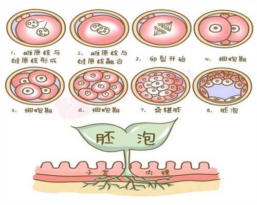 上海代孕机构,输卵管积水怎么办会影响试管胚胎