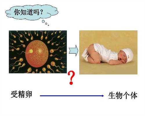 上海想找助孕妈妈_北京代孕中期检查项目有哪些(孕32周检查项目)：试管北京代