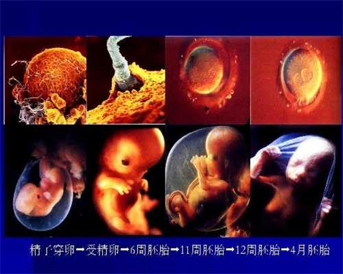 上海看代孕哪里最权威,卵巢早衰的实验检查