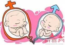 2022武汉普仁医院试管婴儿成功率一览，附试管成功经验分享