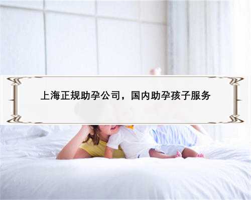 上海正规助孕公司，国内助孕孩子服务